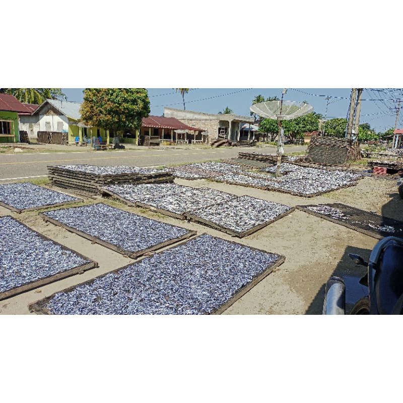 

ikan asin
