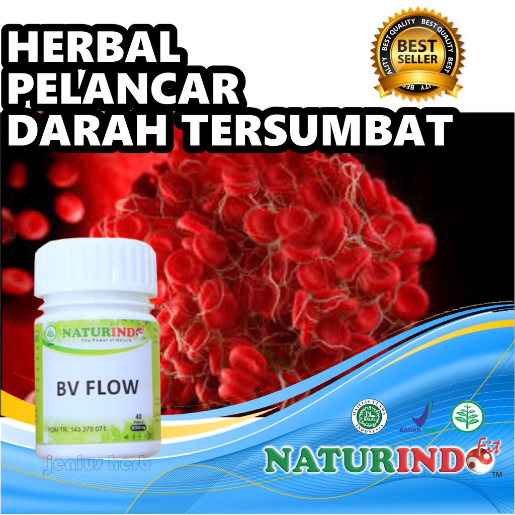 

OBAT PELANCAR MELANCARKAN PEREDARAN DARAH TERSUMBAT PENYUMBATAN HERBAL PALING LARIS