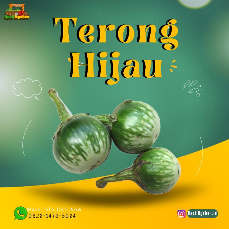 

TERONG HIJAU 250GR