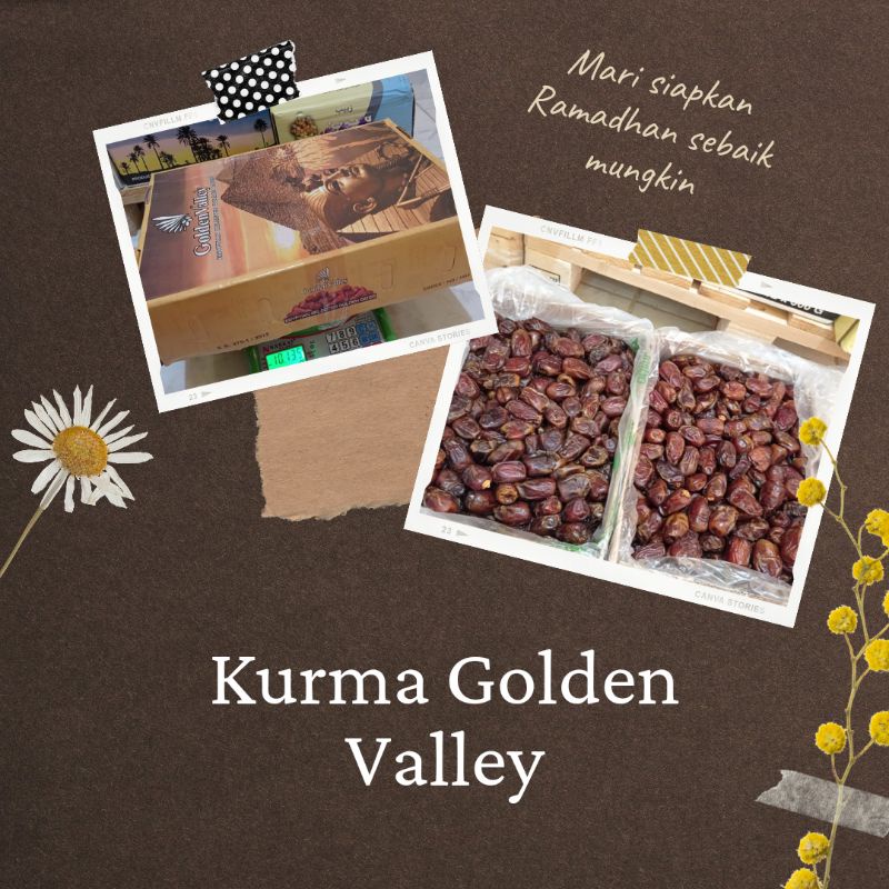 

Kurma golden valley