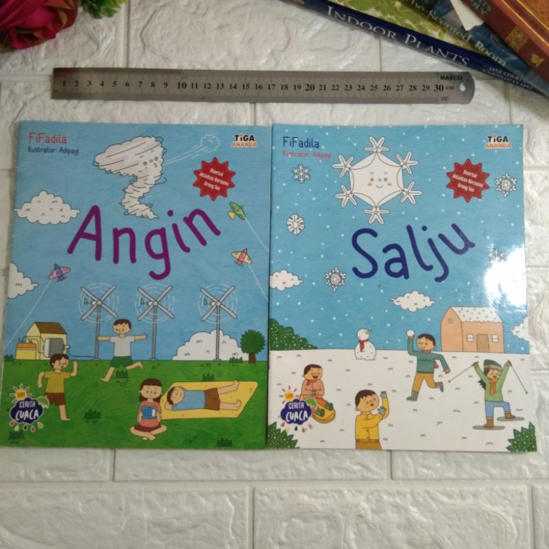 Paket 2 Buku anak preloved second bekas Seri Cerita Cuaca