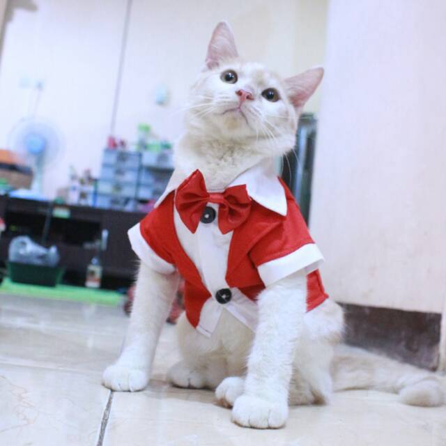 Tuxedo merah untuk kucing dan anjing size S M L XL / baju kucing murah