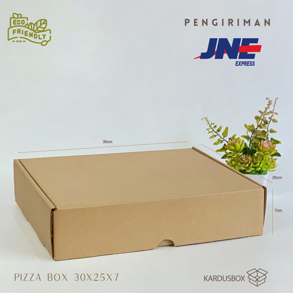 

10pcs Kardus Box Pizza [30x25x7cm]