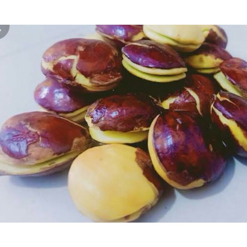 

jengkol segar 250gr
