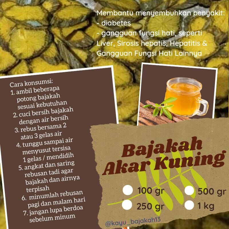 

Akar Kayu Bajakah Tampala Kalalawit Akar Kuning ASLI Kalimantan Obat Liver Hati Hepatitis Diabetes