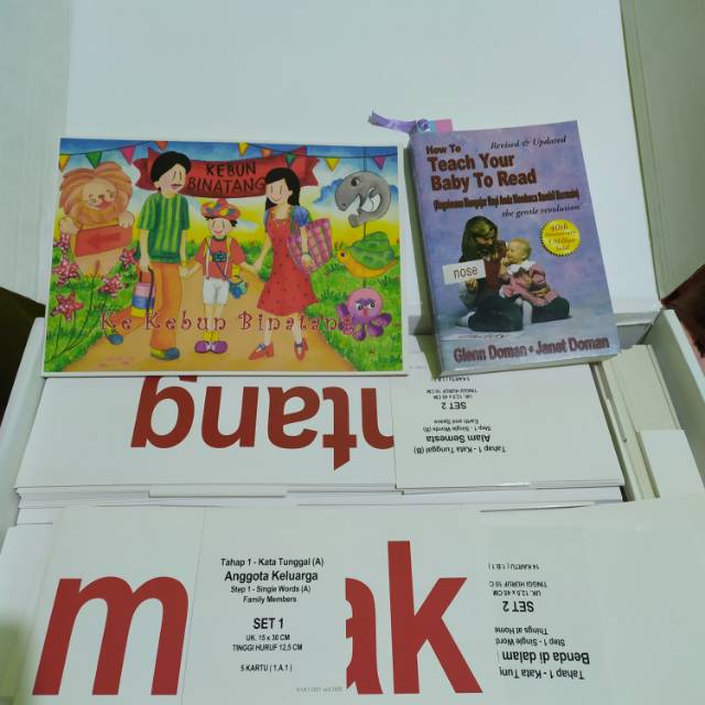 Glenn Doman Flash Card Indonesia