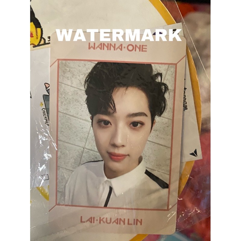 Lai Guanlin Lai Kuanlin official Photocard dari album Undivided