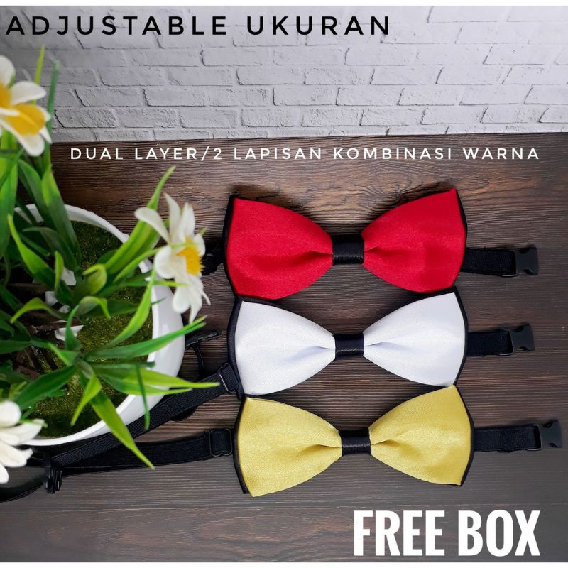 DASI KUPU PRIA KOMBINASI WARNA DUAL LAYER FREE BOX