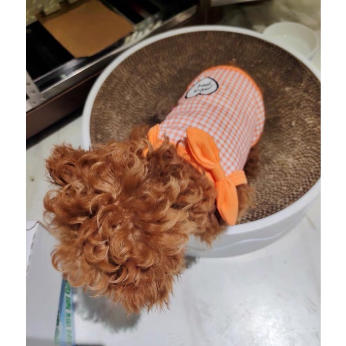 Orange Pink Pitch Pet for Dog Cat Baju Anjing Kucing Lucu