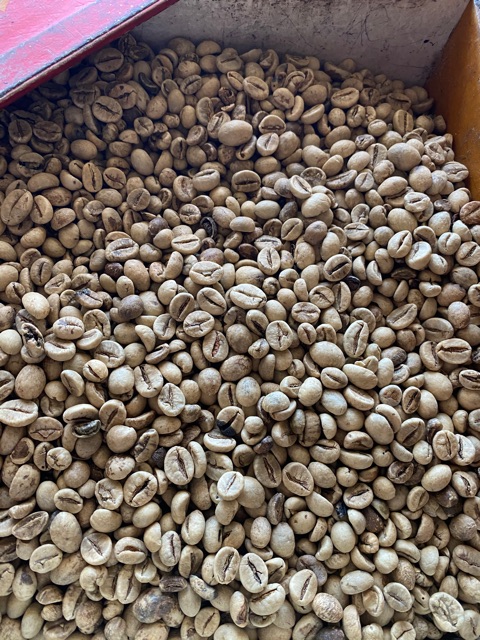 250gram BIJI KOPI MENTAH