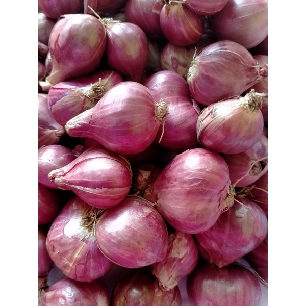 

[BISA COD] BAWANG MERAH PROBOLINGGO ECER 1 KG