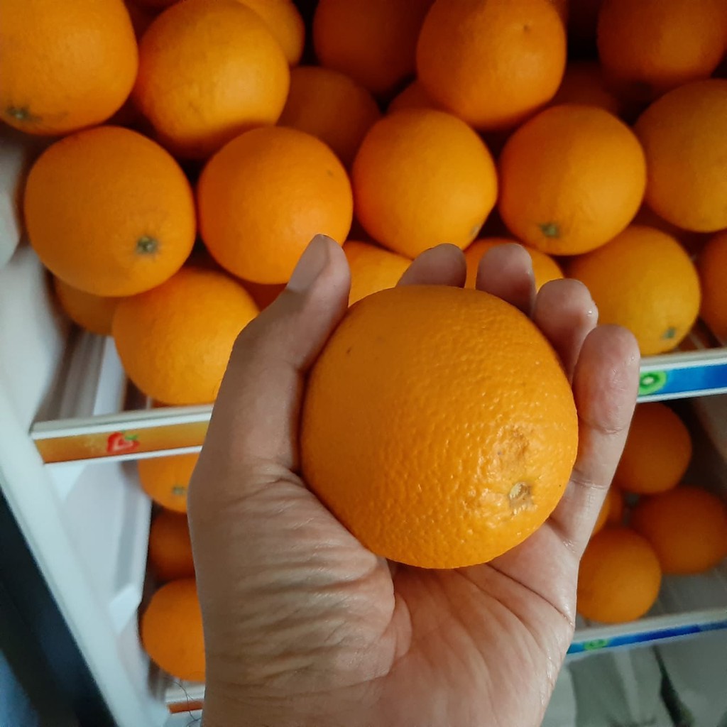 Jeruk Segar Sunkist Valencia 1 kg dari Mesir