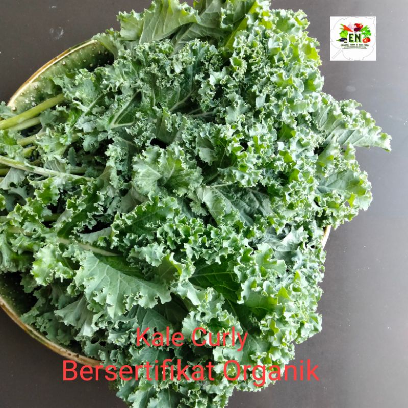 

1kg Sayur Kale Curly 100% Sertifikat Organik Vegetable Murah Sehat Healthy Life Grosir Supermarket