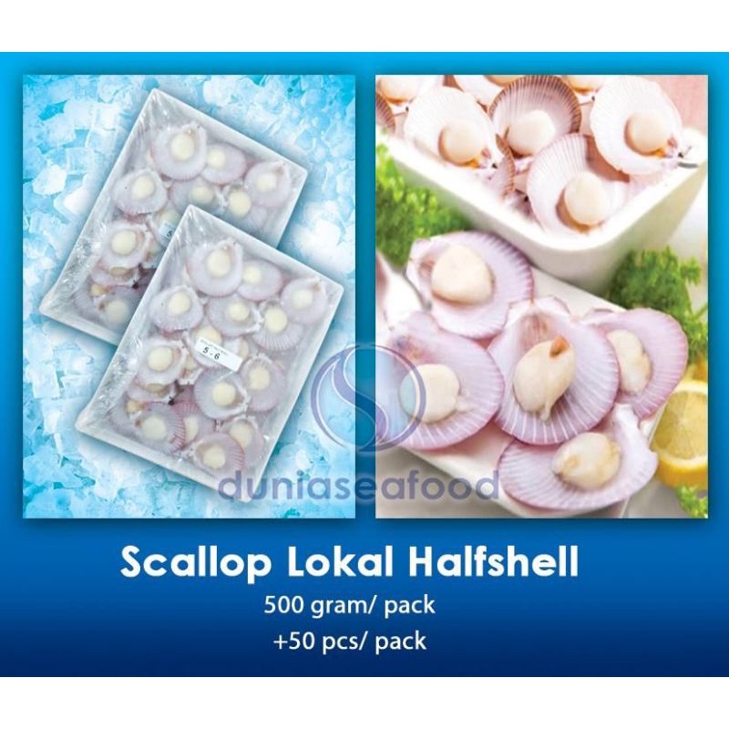 

Scallop Lokal Halfshell 500 gram/pack +/- 50 pcs/pack