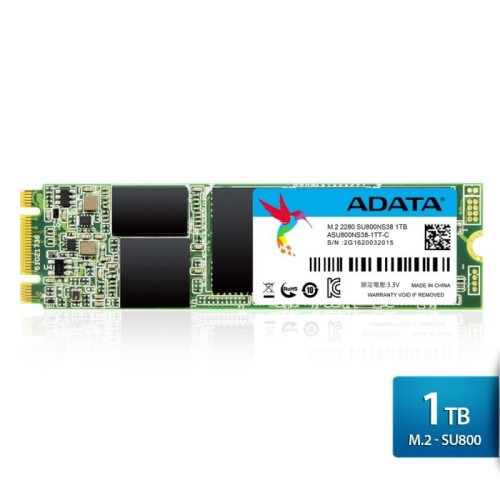 SSD ADATA SU800 1TB M.2 SATA MANTULL GAN