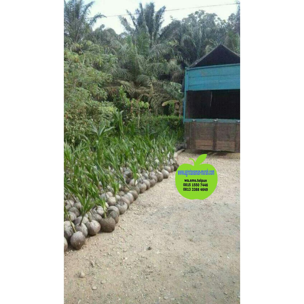 

V0C Kelapa Gading