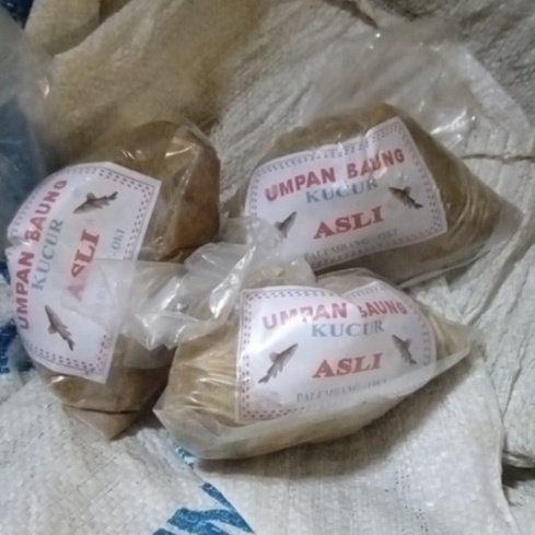 UMPAN BAUNG KUCUR-PALEMBANG OKI