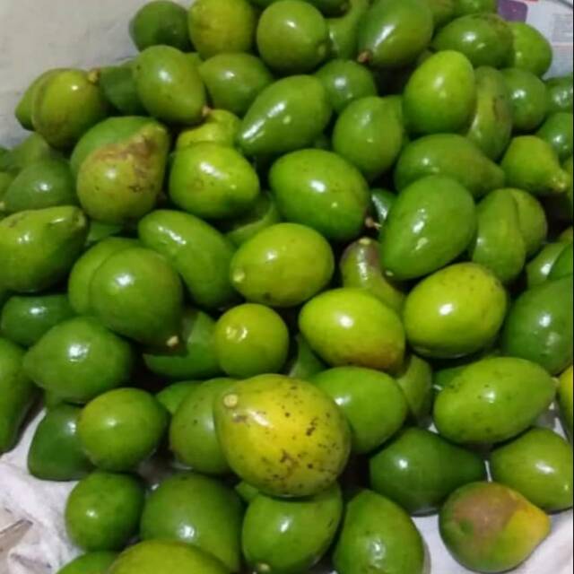 

Alpukat mentega