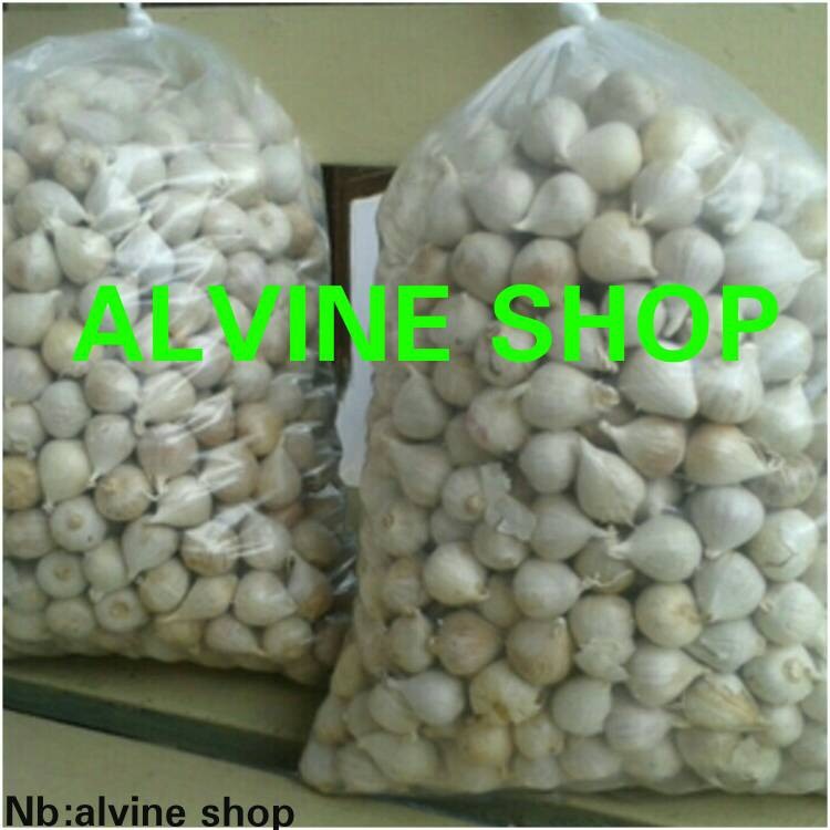 

PREMIUM Bawang putih tunggal alami/Bawang lanang Alami Murah