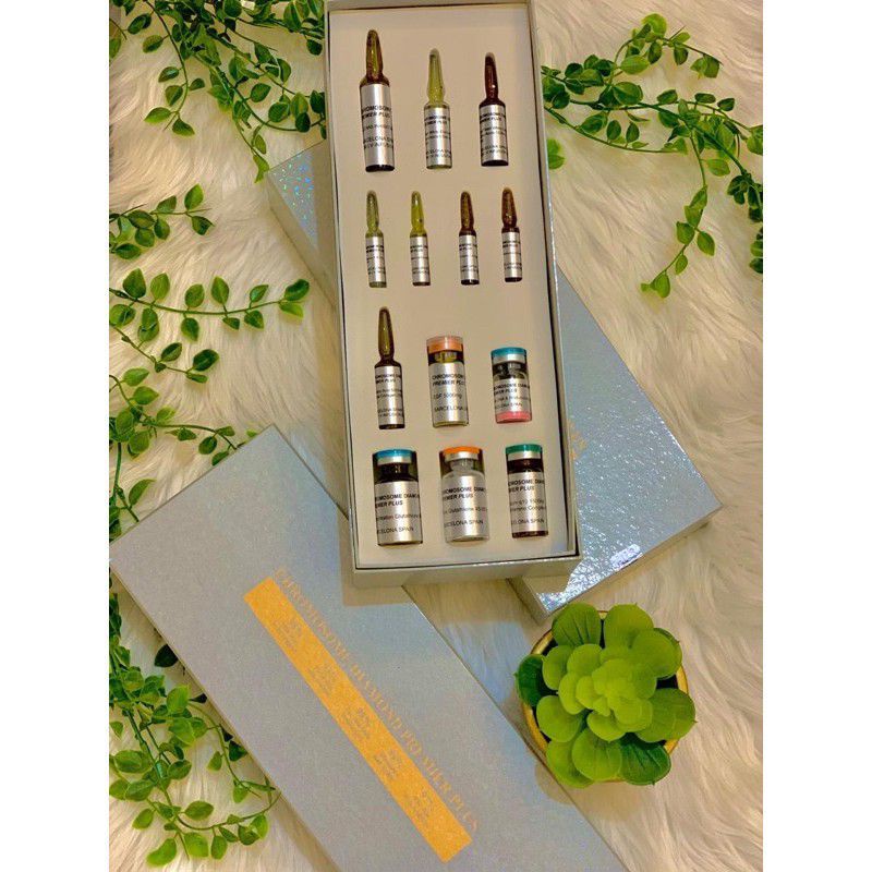 Chromosome Diamond Primer Box Silver (Free Alkes 1 Set)