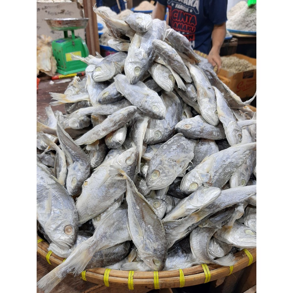 

Ikan asin Kepala Batu