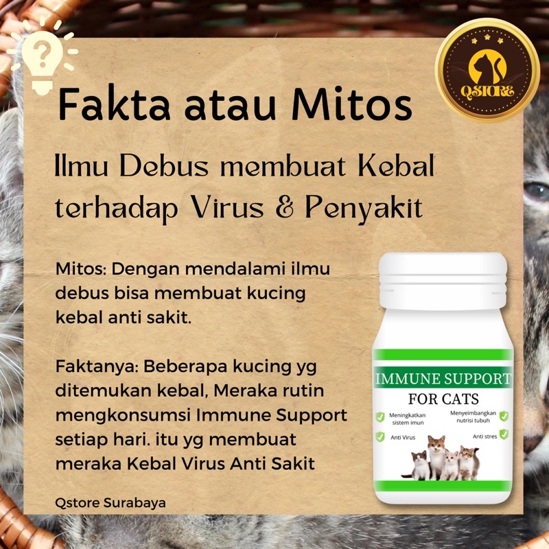 Vitamin Imunitas Kucing Immune Support For Cats Vitamin Kucing anti sakit