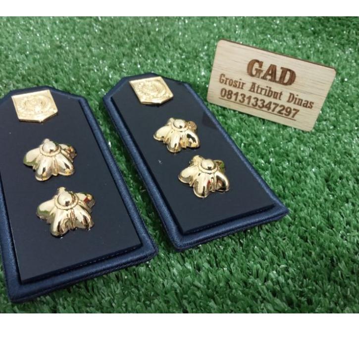 Telah Hadir.. Pangkat PDU Lurah Sesuai Permendagri