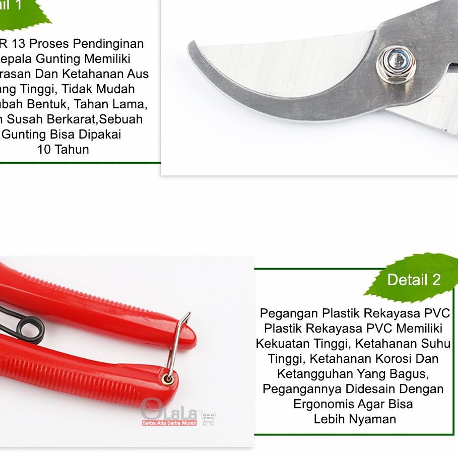 

Trendy GUNTING TANAMAN / GUNTING BUNGA OLLK-401