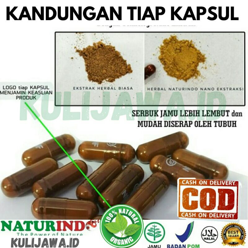 Obat Aritmia Jantung Lemah Berdebar Kencang Lambat Nyeri Dada Sesak Nafas Gelisah Lelah Pingsan Herbal Jamu Tradisional Ampuh-4