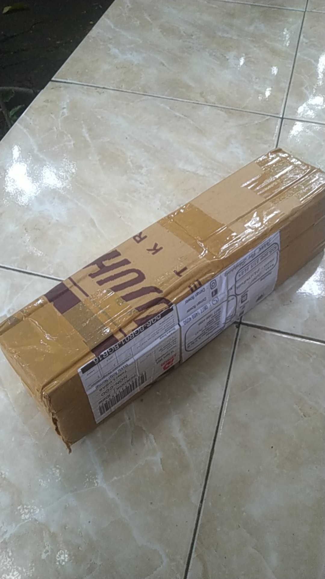 Tanaman Hias Kacapiring