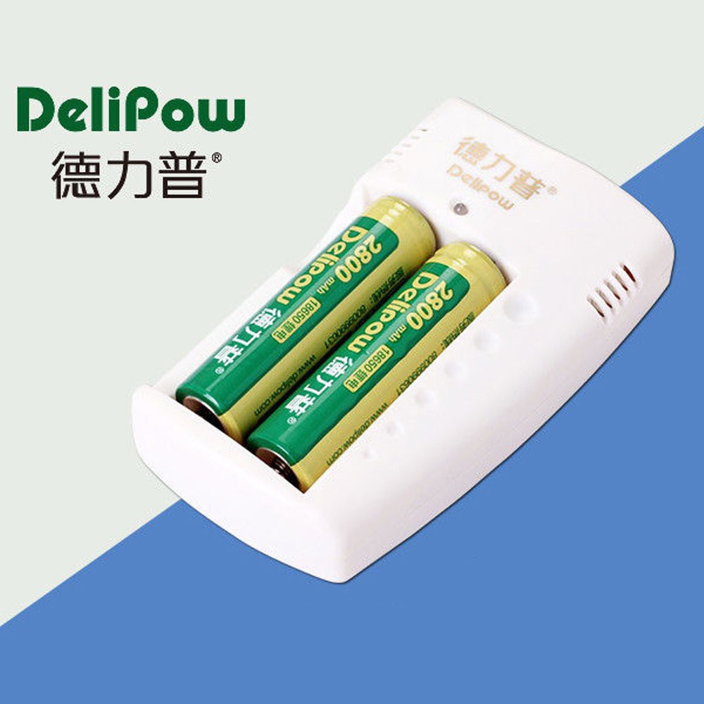Delipow Portable 18650 Rechargeable Lithium Battery Charger