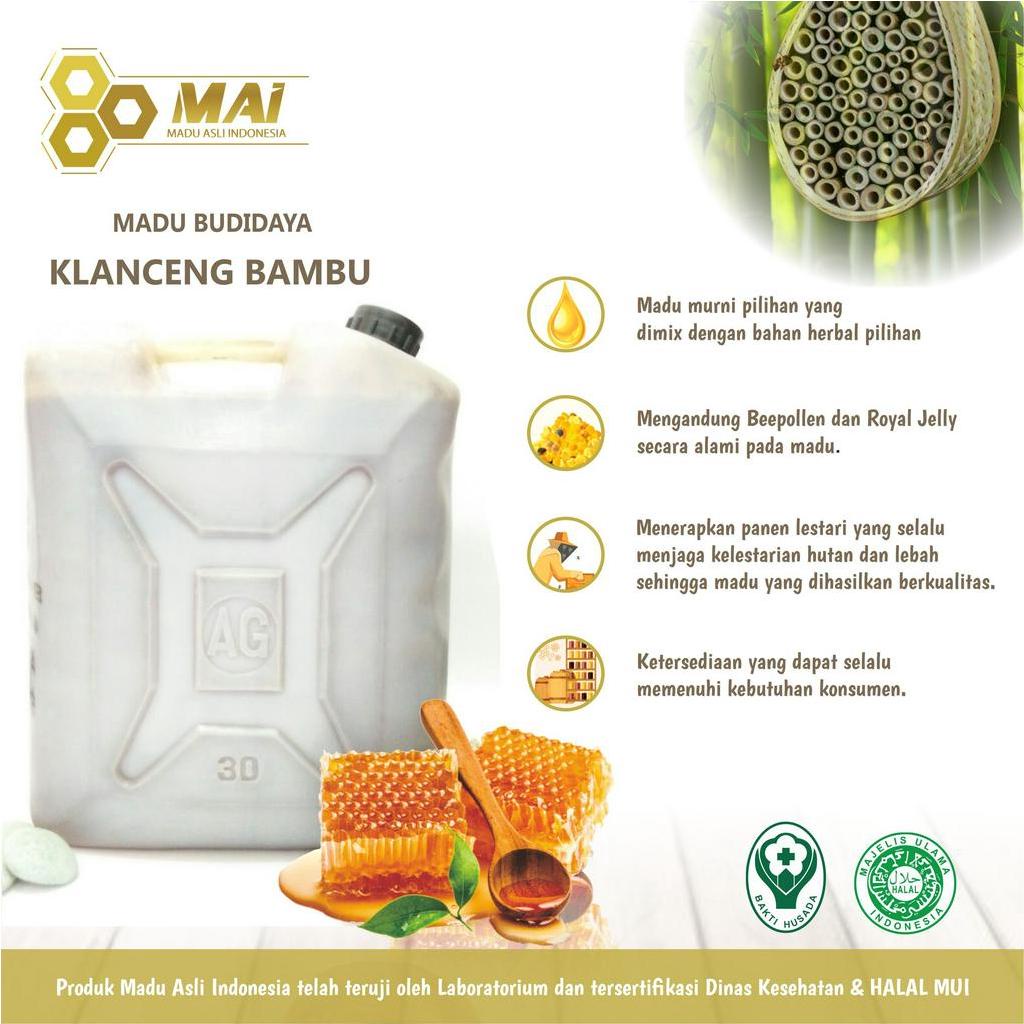 

MAI | Madu asli 100% kemasan madu 6 kg / Madu Klanceng Bambu - Klanceng Bamboo / Madu asli - madu asli 100% tanpa campuran