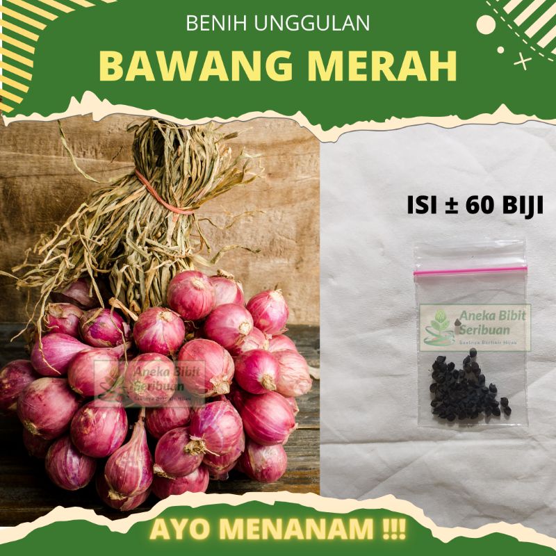 60 biji - Benih bawang merah Lokananta