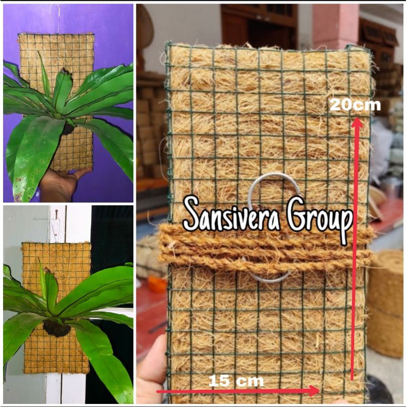 Lempeng sabut kelapa tempel / pengganti lempeng pakis / Pot gantung Anggrek