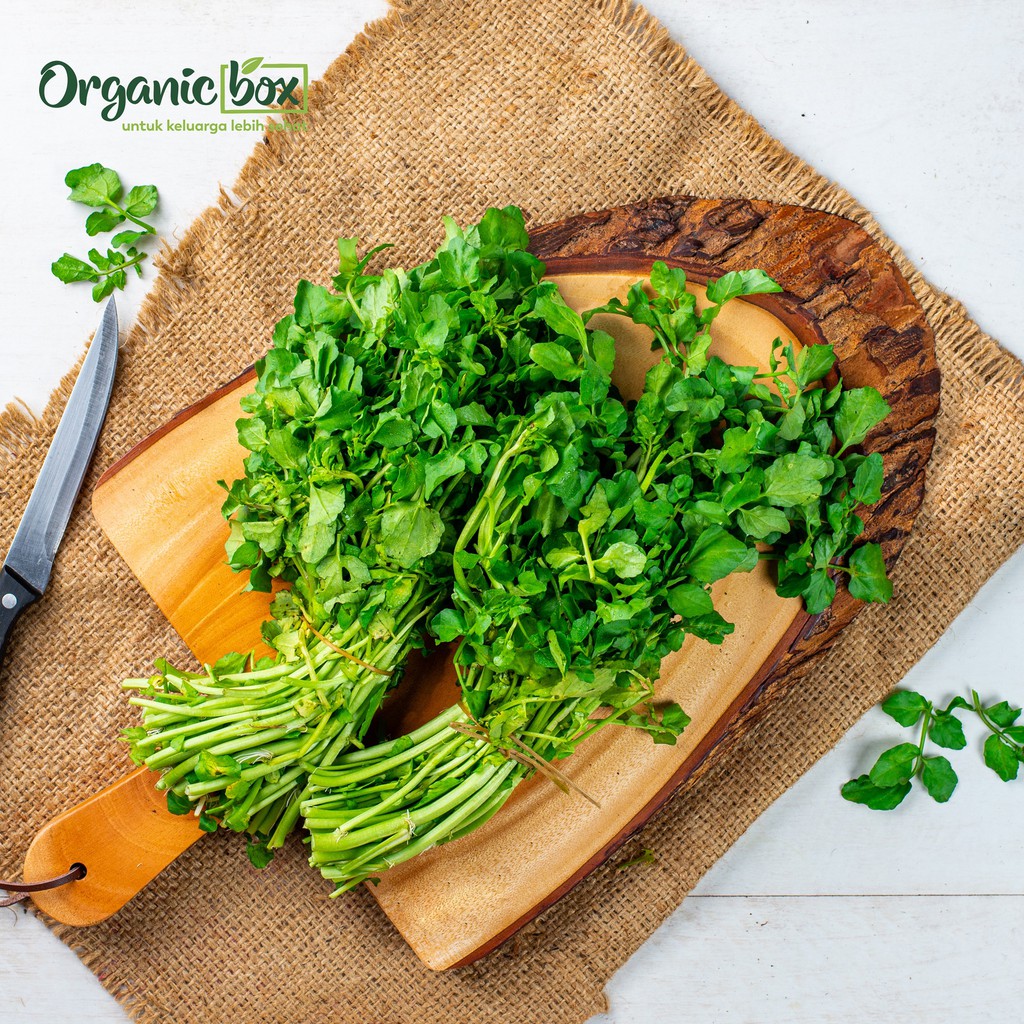 

SELADA AIR ORGANIK 200GR