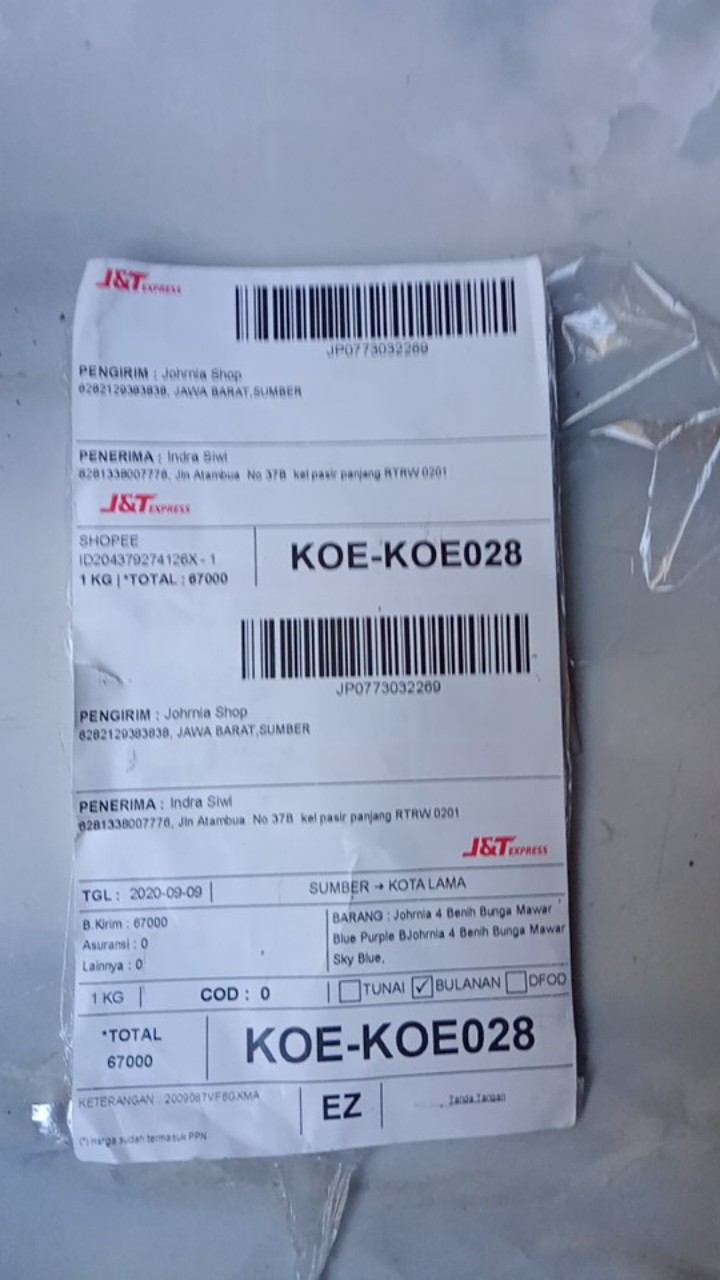 Johrnia 4 Benih Bunga Mawar Light Purple
