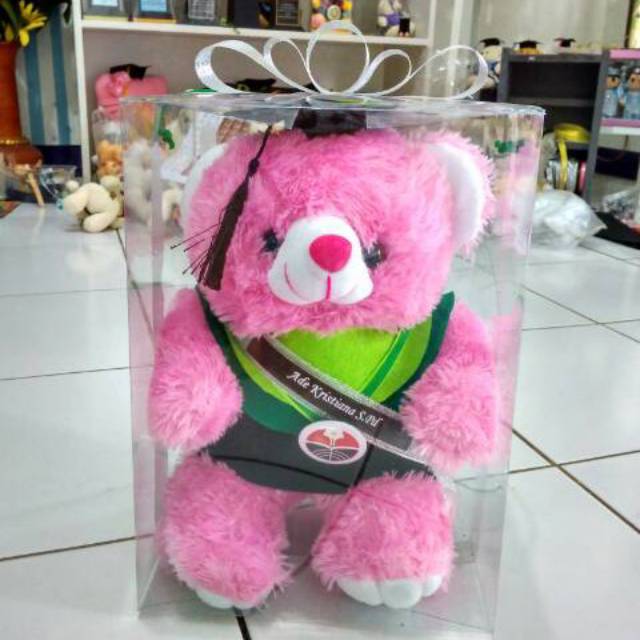 BONEKA WISUDA TEDDY BEAR 30CM + SELEMPANG