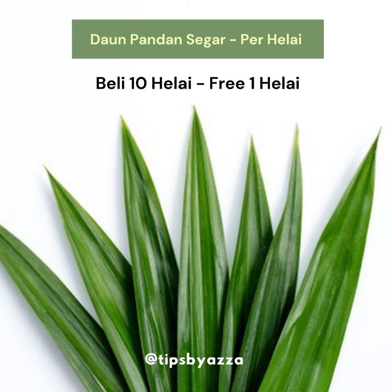 Daun Pandan Segar / Daun Suji Segar / Pewarna Hijau Alami