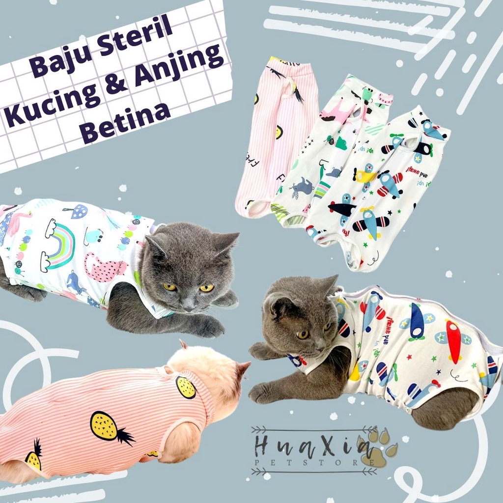 Baju Steril Kucing Anjing Betina Recovery Pasca Operasi