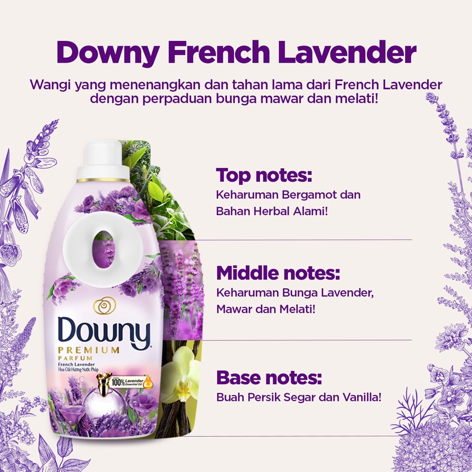 Downy Pelembut dan Pewangi Pakaian Konsentrat French Lavender 900 mL - Paket Isi 3