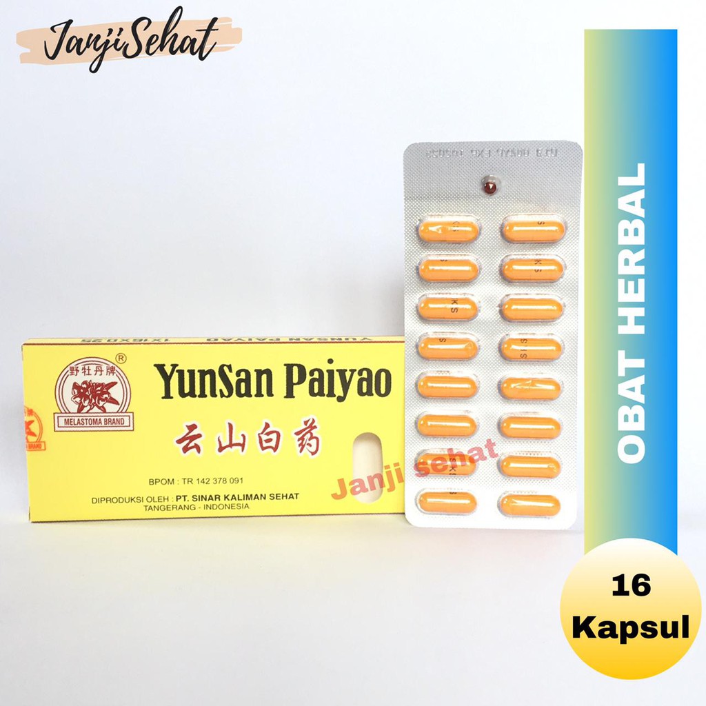YUNNAN PAIYAO KUNING YUNSAN PAIYAO