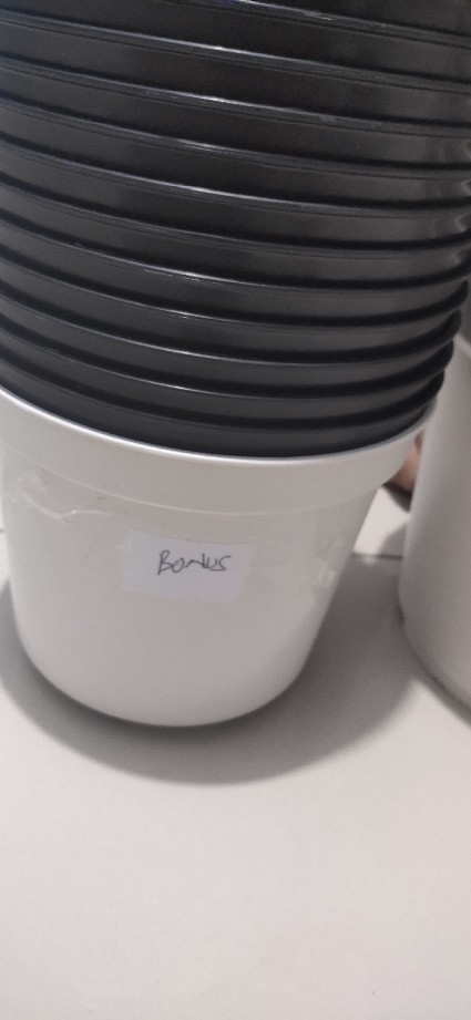 Pot Bunga Tanaman 15 Cm Hitam Merek Made Indonesia Free Bubble Ketentuan Berlaku