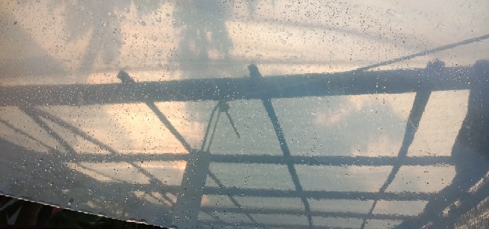 Plastik Uv Tebal 200 Micron 14 % Lebar 6 Meter- 6m X 1m