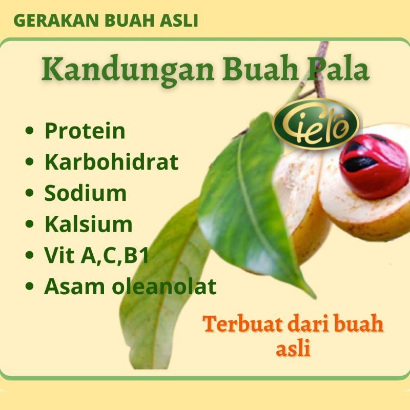 SIRUP PALA ASLI PREMIUM ORIGINAL