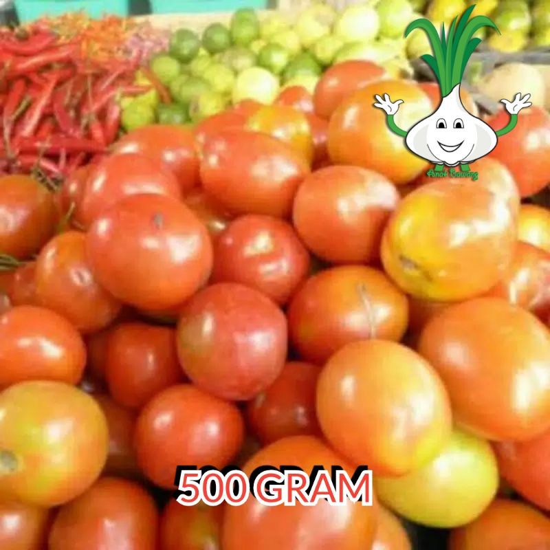 

500 gram tomat fresh