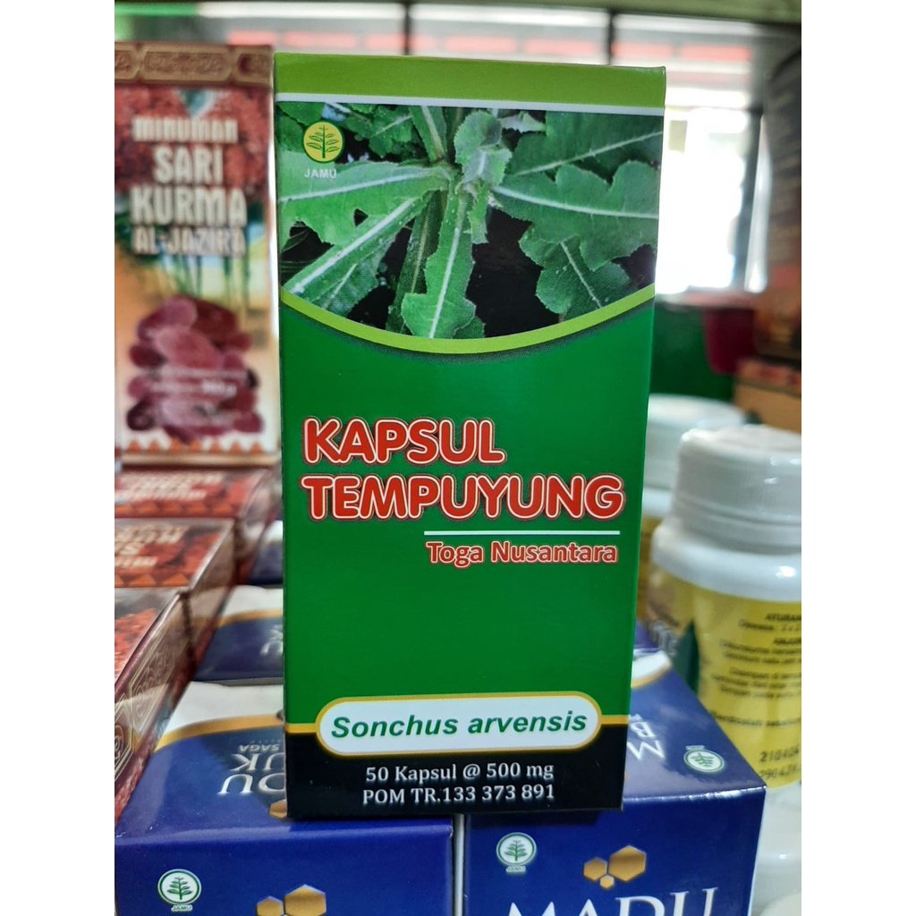 Kapsul tempuyung Toga Nusantara - Obat Batu Ginjal Kencing Batu 50 kapsul