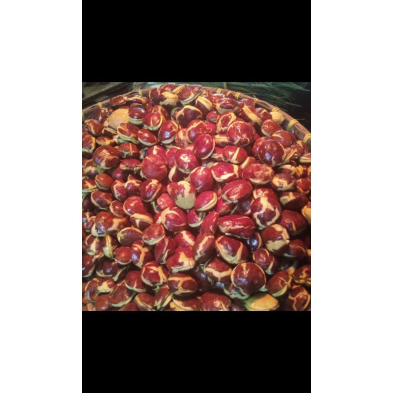 

Jengkol 500g