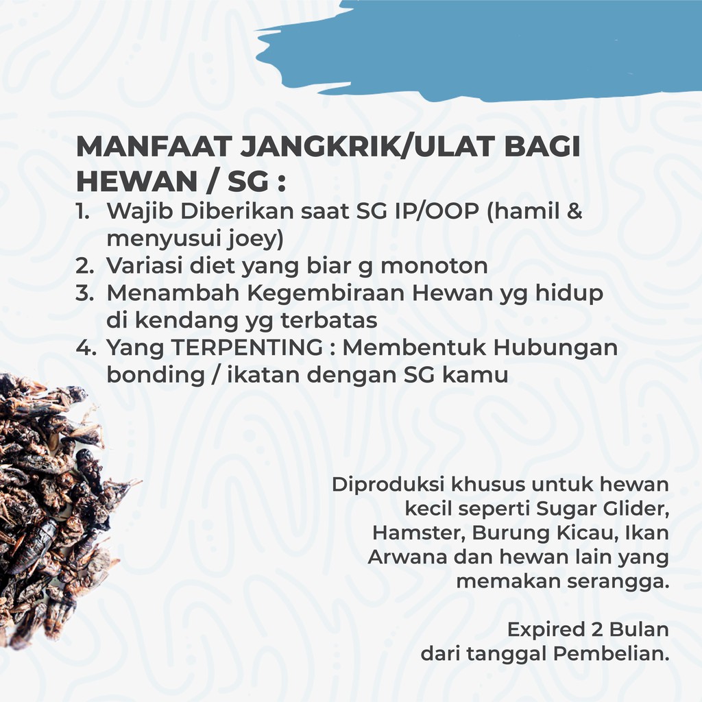 ADEWAP GLIDER Dried Cricket Jangkrik Kering Sugar Glider