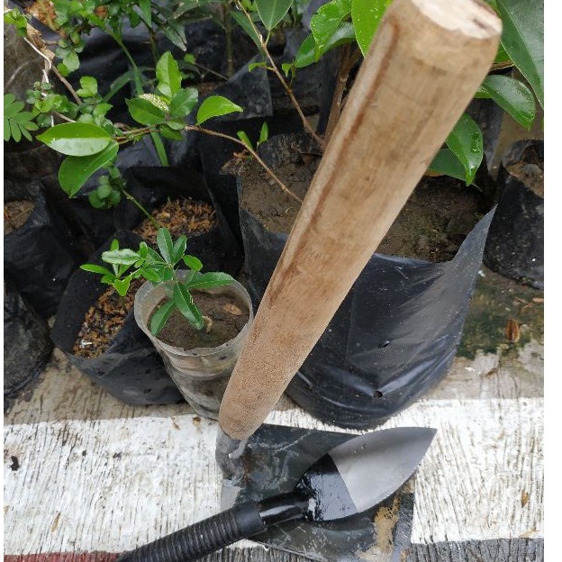 Pacul dan Cetok paket peralatan tanaman mini