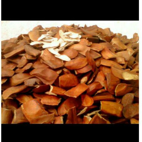 

Buah Mahoni 100 gram